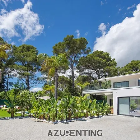Azurenting - Les Palmiers - Piscine Privée