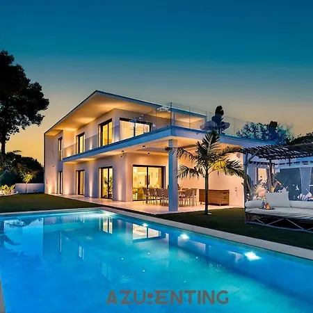 Azurenting - Les Palmiers - Piscine Privee